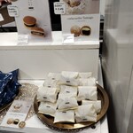 メゾン シーラカンス - 