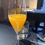 セルサルサーレ - 