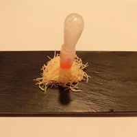 Recette - 