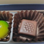 セブンコンチネンツ - 