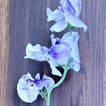 らーめん かねかつ - おかみの一輪✨