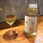 Hachihare - 「PYON」