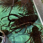 黒潮ダイニング パールロード店 - 