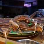 割烹 成 - 