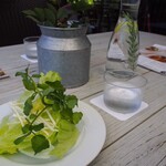 カフェ＆ガーデン しらさぎ邸 - サラダ