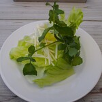 カフェ＆ガーデン しらさぎ邸 - サラダ