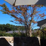 カフェ＆ガーデン しらさぎ邸 - テラス席