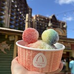 Pāpālua Shave Ice - 