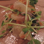 ミシマ テラス - 