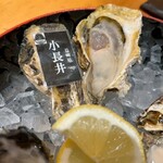 立川 牡蠣basara - 