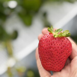 好旬ファームパーク - 