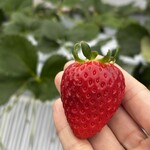 好旬ファームパーク - 