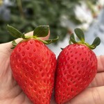 好旬ファームパーク - 