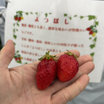 好旬ファームパーク - 