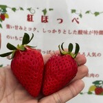 好旬ファームパーク - 