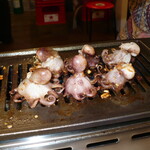 ミリネヤンコプチャン - 