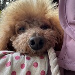 そば処 湧水 - まぁまぁご機嫌ｗ