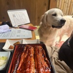 ふるさとキッチン DONどん - 