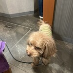 駒形町 伊東屋 - 