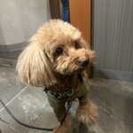 駒形町 伊東屋 - 