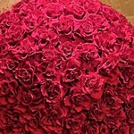 インペリアルバイキング サール - 