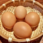 中華そば 丸田屋 - ゆでたまご