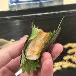 先斗町 藤わら - 