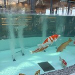 スターバックスコーヒー 都城 KIRISHIMA GREENSHIP icoia店 - 