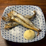 【個室完備】全国47都道府県の日本酒 旬の海鮮 サケビヨリ 札幌大通店 - 