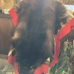 大久商店 山の幸直売店 - 