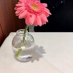 リストランテ ラ ソリア - （2026.1）