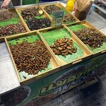 ジョッドフェアーズ ラチャダー - 