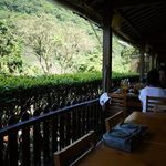 邀月茶坊 - 店内