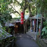 邀月茶坊 - 店内への入口