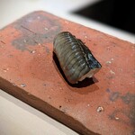 たかおか - 穴子。煮穴子を炙って熱々です。つまむのが大変なほどフワフワ、蕩けます。