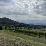 サントリー　登美の丘ワイナリー　 - 