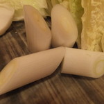 鳥つね自然洞 - 千住ねぎ