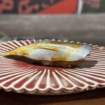 SUSHI OSAKA Organic - 