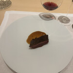 CHIUnE - 木曽川の真鴨