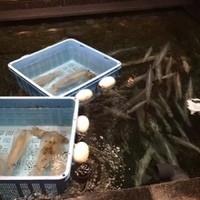 稚加榮 本店 - 