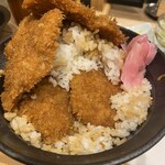 新潟カツ丼 タレカツ 日比谷店 - 