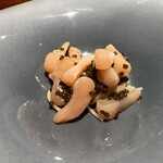 蒼 - 愛媛藤本さんより 阿古屋貝とオシェトラキャビアの冷製フェデリーニ