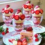 カーム ガーデン - 