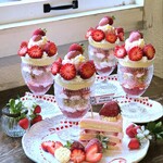 カーム ガーデン - 