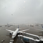 The Minatoya Lounge - 