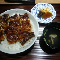うなぎ料理 澤正 - 上うなぎ丼（大盛り）