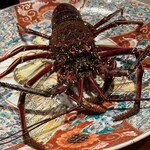 日本料理 別府 廣門 - 