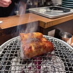 炭火焼 ホンマ - 