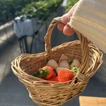 苺屋あとりゑ - 