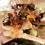 Eccomi - 歯鰹のカルパッチョ